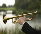 Труба, музыкальный инструмент латуни